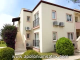 Apollonium Adonis Daire