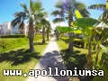 Bozbük Apolloniumda Satılık Full Eşyalı, Alt Kat 2+1 Eşyalı Adonis Daire