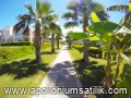 Apollonium Satılık Konut